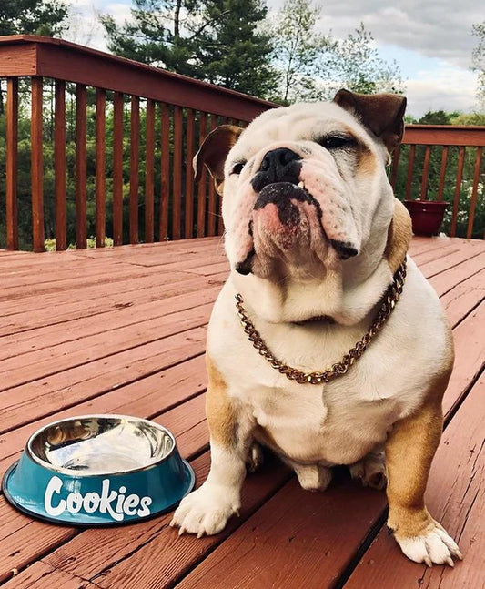 COOKIES ORIGINAL MINT LOGO DOG BOWL