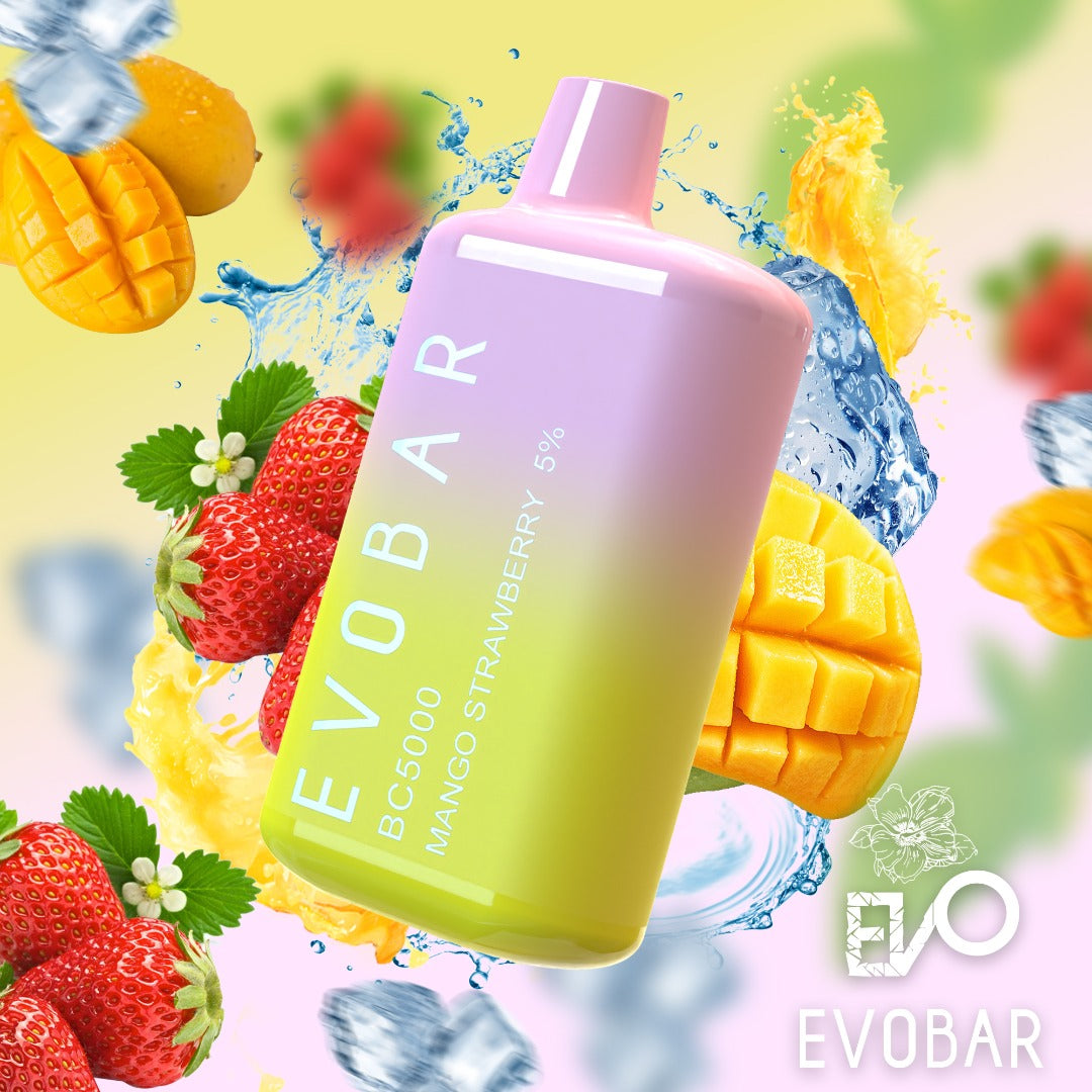 EVO Bar 13ML 5000 Puffs Disposable - Original Edition