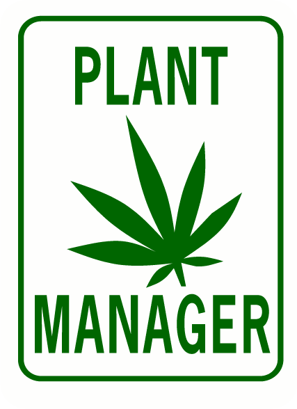 420 Themed Metal Signs - Assorted