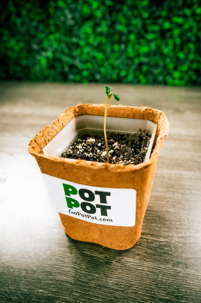 POTPOT | 100% Organic Seed Starting Kit | Buy 5 Get One FREE!