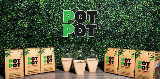 POTPOT | 100% Organic Seed Starting Kit | Buy 5 Get One FREE!