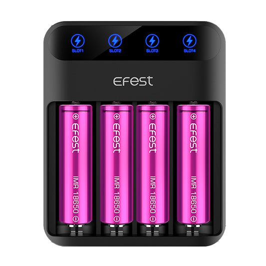eFest LUSH Q2/Q4 LED Battery Charger